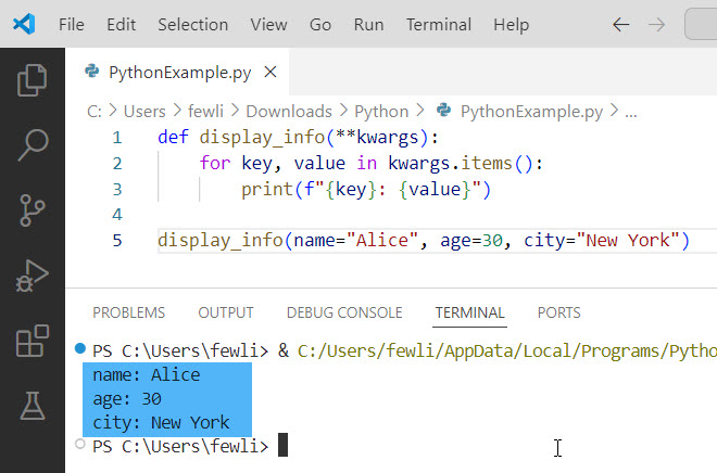 Asterisks in Python Variables