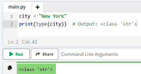 Check the Type of a Variable in Python