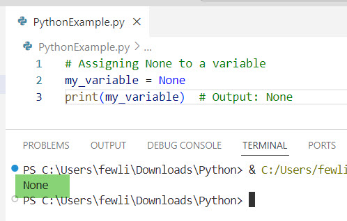 Set a Variable to Null in Python