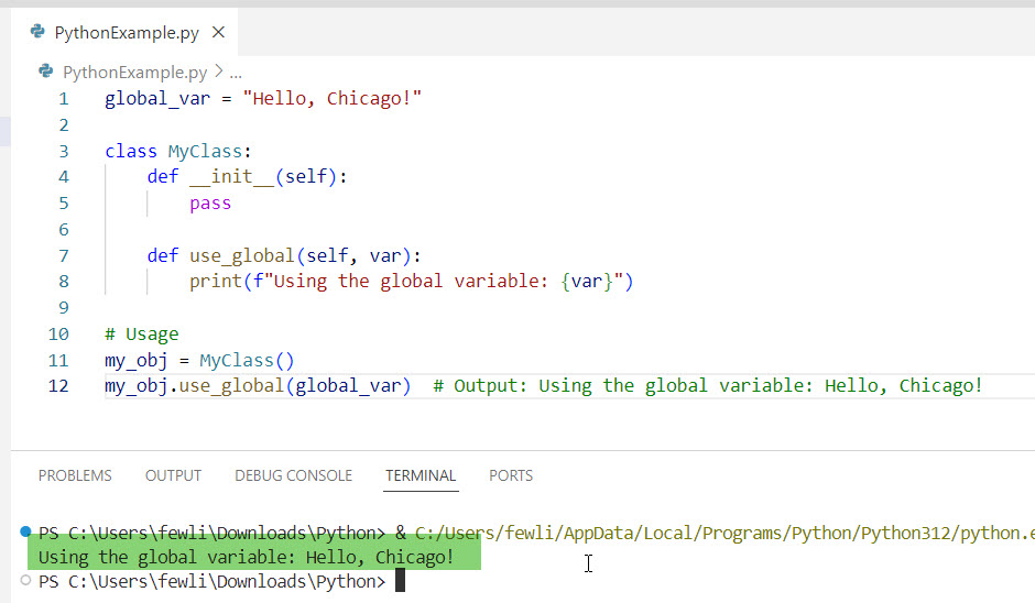 how to pass global variable in python class