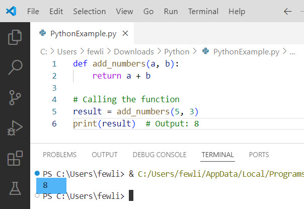 Call a Function in Python