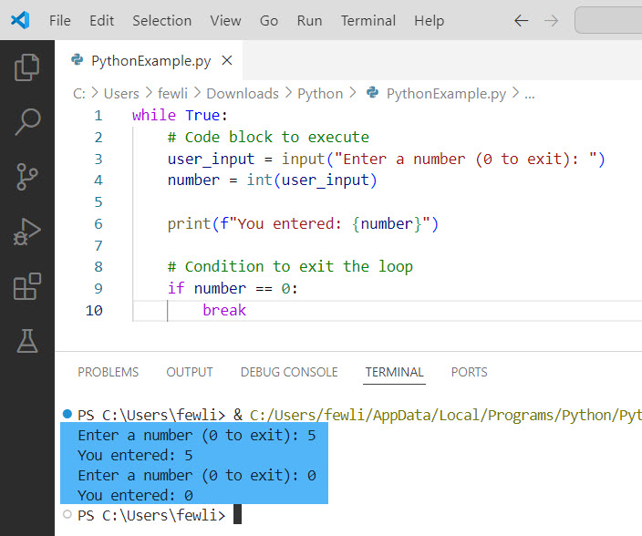 Do-While Loop in Python
