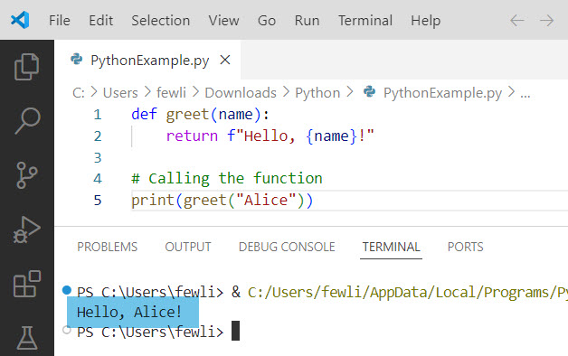 python function example with parameters