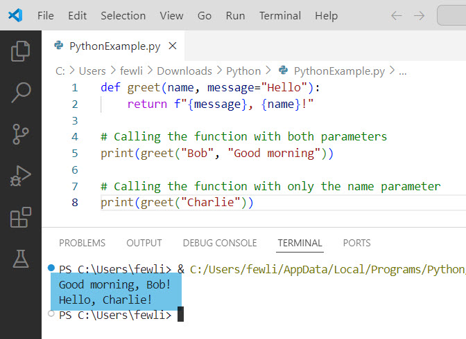 python function examples with parameters